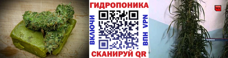 Cannafood марихуана  это наркотические препараты  Белебей 